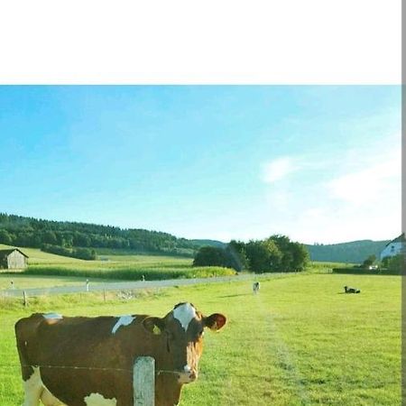 4 Erw. 1 Ki. Ski Entspannung Terasse Ausblick Schmallenberg Exteriör bild