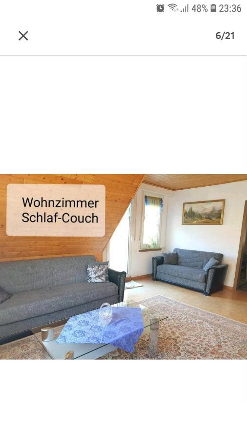 4 Erw. 1 Ki. Ski Entspannung Terasse Ausblick Schmallenberg Exteriör bild
